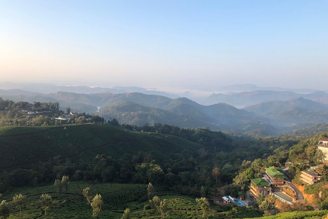 Munnar Tea Plantation Small-Group Hiking Tour