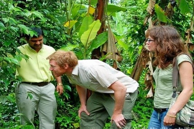 Munnar Tea Valley Tour ( by Munnar Info)
