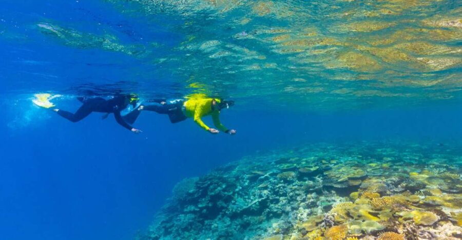 Museum Of Underwater Art & Great Barrier Reef Day Trip
