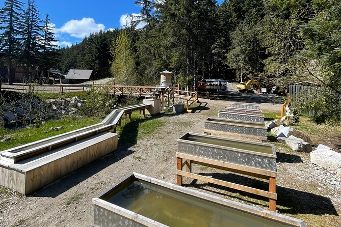 Mushers Camp and Gold Panning Adventure
