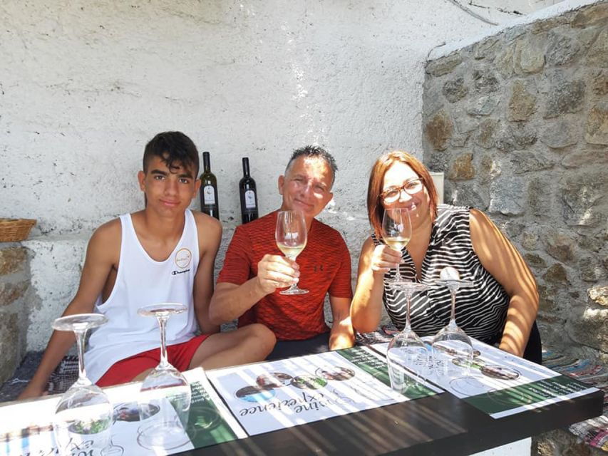 Mykonos: Wine Tasting at a Mykonian Farm