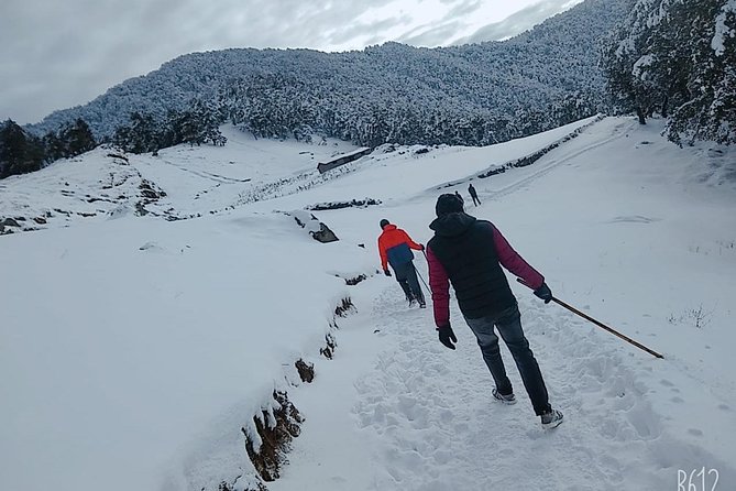 Nag Tibba Overnight Trek With Transfers From Dehradun (Feb ) - Good To Know