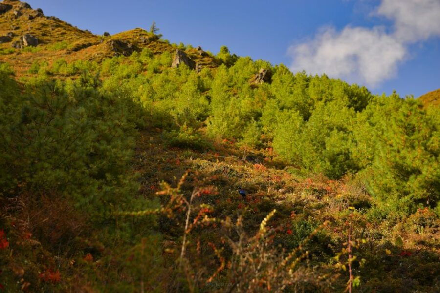 Nagarjung Day Hiking - Highlights of Nagarjung Day Hiking