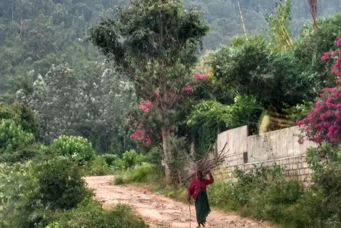 Nandi Hills and Bhoganandishwara Temple Tour From Bengaluru (Feb )
