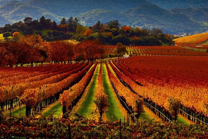 Napa and Sonoma Limo