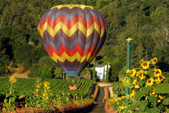 Napa Valley Day Trip With Hot Air Balloon and Wine Tasting  - San Francisco - Good To Know