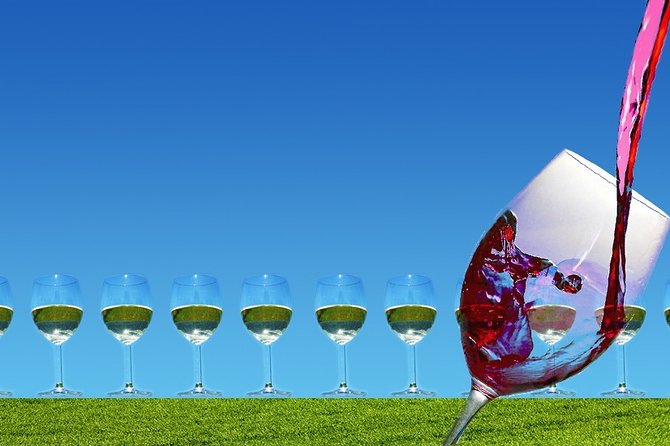 Napa Valley Wine Tasting Tour 6 to 8 Hours Max 14 Passenger