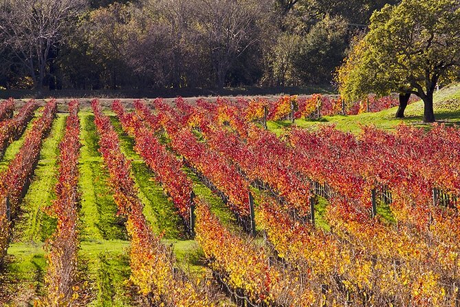 Napa Wine Tasting Tour - Good To Know