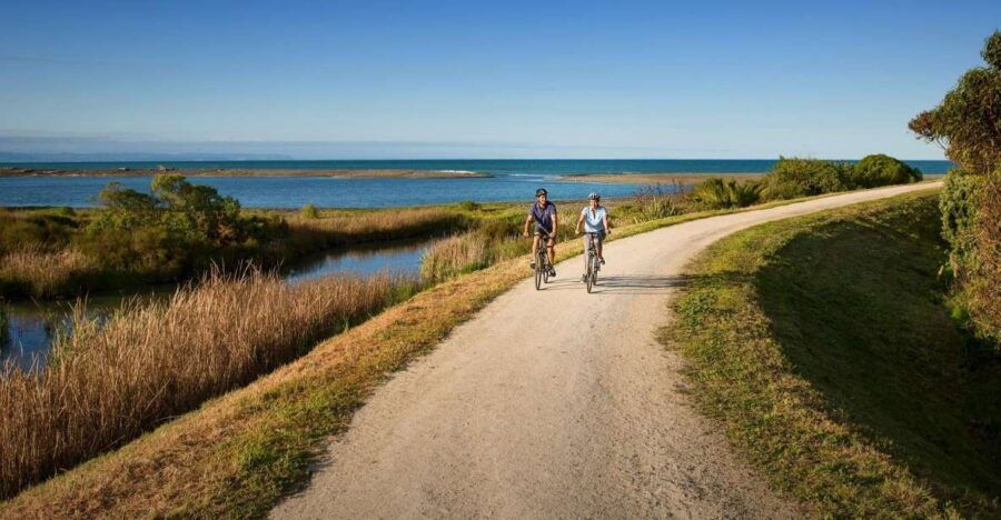 Napier: Cape Coast Winery Cycle Ride - E-Bike or Std-Bike - Good To Know