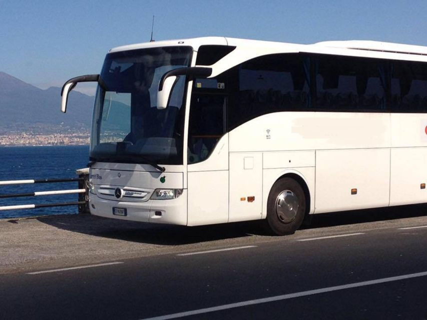 Naples Airport: 1-Way Shuttle to Sorrento Coast and Naples - Good To Know