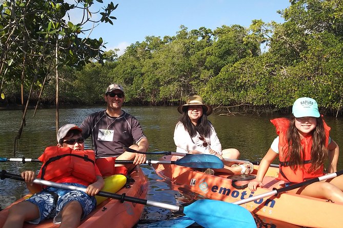 Naples FL, Kayak Mangrove Forest Tour