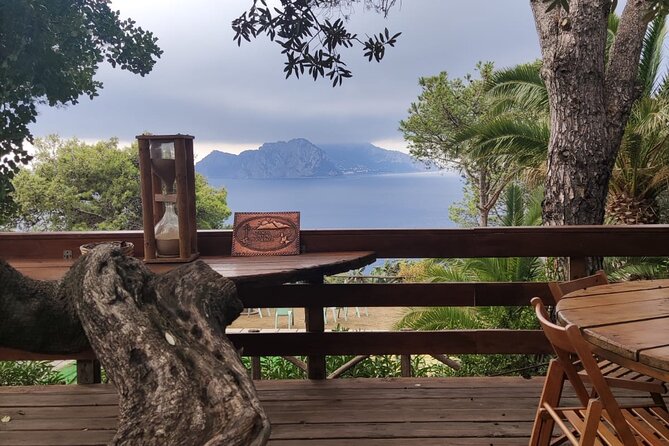 Naples Port Tour Sorrento and Pompeii and Overview of Positano - Good To Know