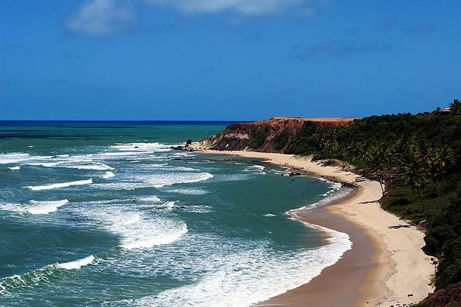 Natal to Pipa Beach Full-Day Tour With Transport and Guide