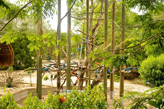 National Aviary Private From Cartagena - Tour Highlights