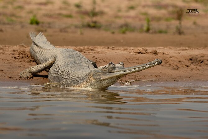 2 Best Tours In Sawai Madhopur