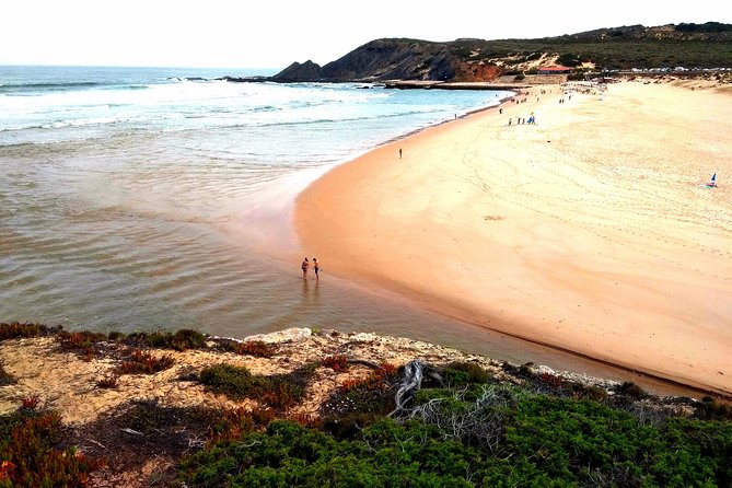 National Park West Coast Half Day Tour From Lagos