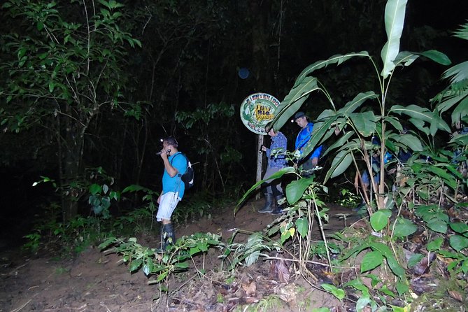 Nativos Corcovado Night Hike in DrakeBay - Good To Know