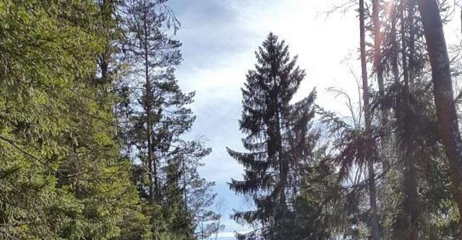 Nature Hike From Stockholm