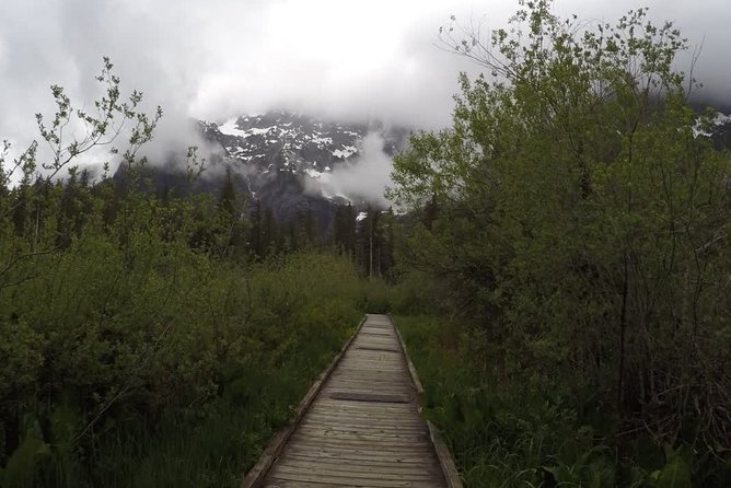 Nature Hike Tour  – Seattle