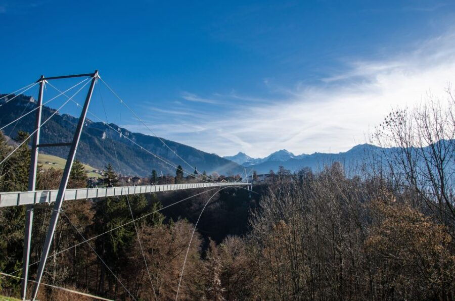 Nature Park Blue Lake, Panorama Bridge and Lake Thun Cruise - Good To Know