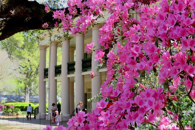 N'Awlins Luxury: Double Plantation Whitney & Oak Alley With Transportation - Good To Know