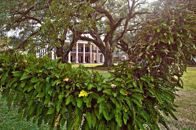 N'Awlins Luxury: Oak Alley Plantation & Pontoon Swamp Tour W/Transportation - Oak Alley Plantation: Famous Oak Trees and Guided Tour