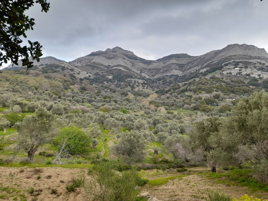 Naxos: Countryside Hike Among Villages & Byzantine Churches