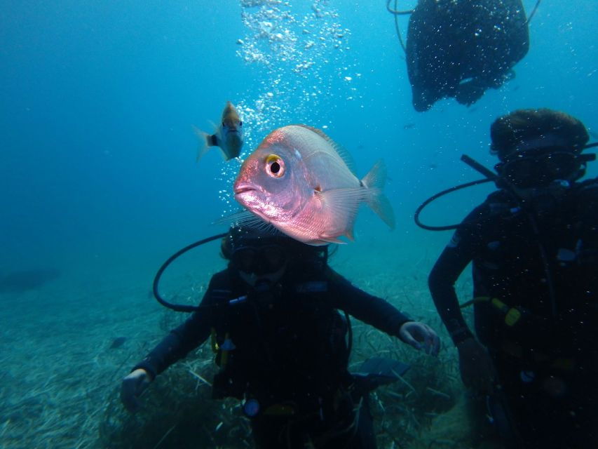 Naxos: Discover Scuba Diving - Your First Experience Diving - Good To Know