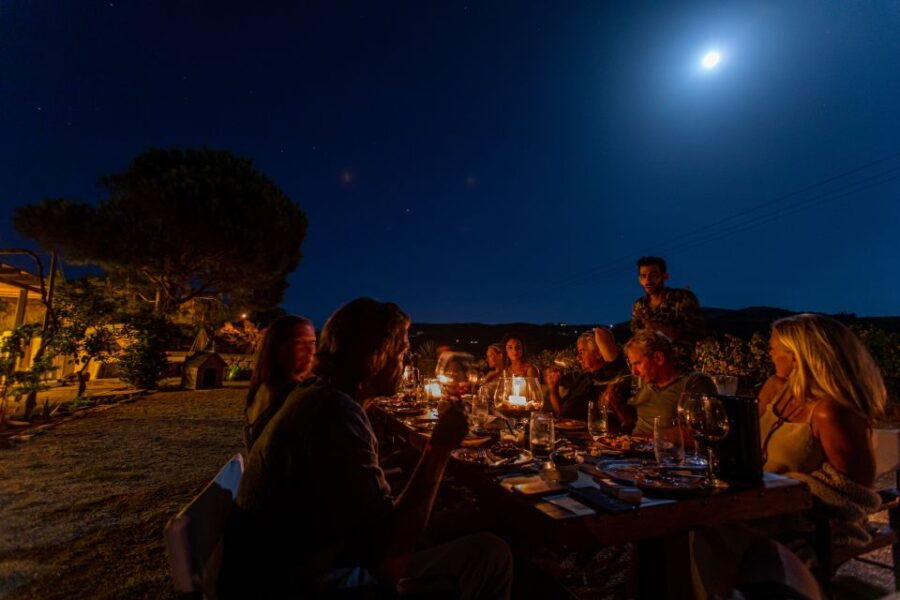 Naxos: Full Moon Dinner and Wine Tasting in a Vineyard - Good To Know