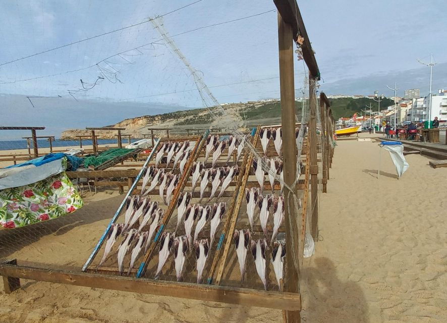 Nazaré & Óbidos – Private 7-Hour Tour From Lisbon