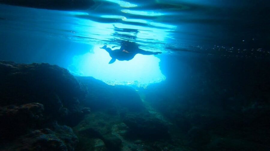 Nea Makri: Marathon Cape & Bay of Schinias Snorkeling Trip - Good To Know
