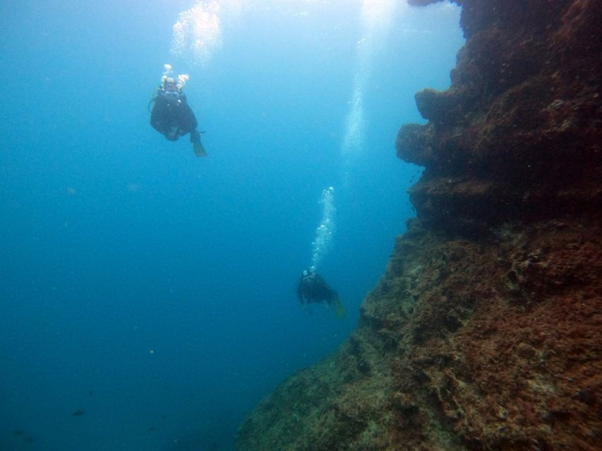 Nea Makri: Open-Water Diving Advanced PADI Course - Good To Know