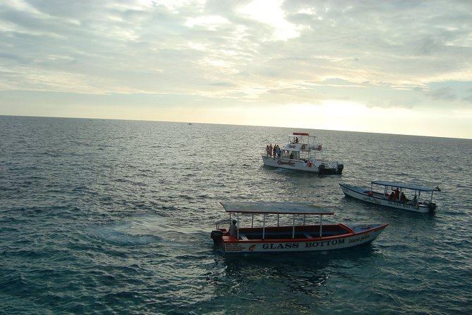 Negril Beach Flex and Sunset at Ricks Cafe - Tour Highlights