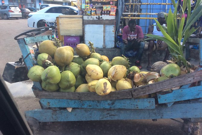 Negril Country Side Tour & Ricks Cafe