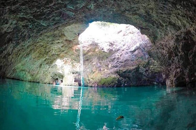 Negril Customizable Tour With Private Driver  - Montego Bay - Pricing and Guarantee