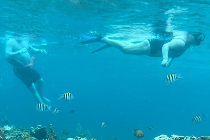 Negril Tour With Water Activities From Montego Bay Jamaica - Good To Know