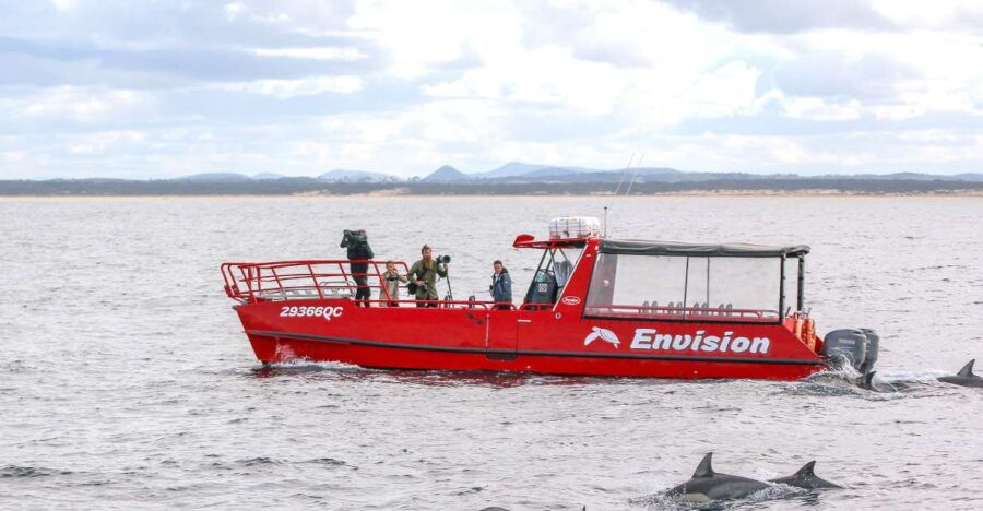 Nelson Bay: 1hr Dolphin Watch Express