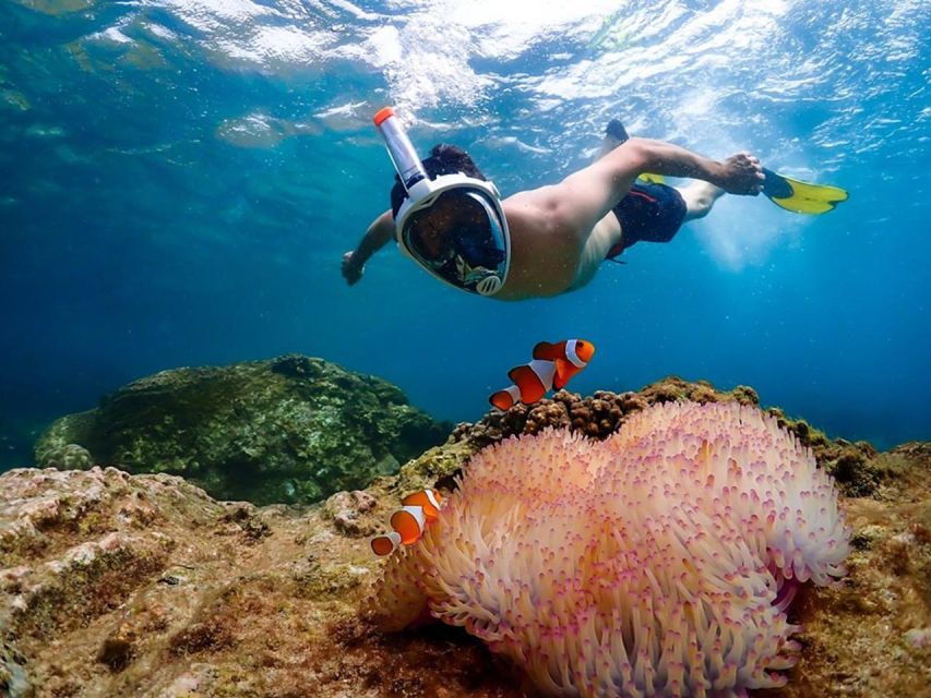 Nemo Island Experience With Drone Photos and Lunch - Highlights of the Experience