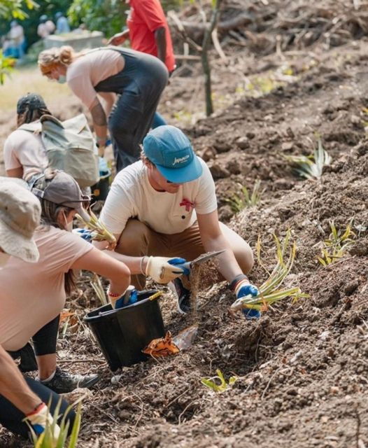 Nepal: Culture and Agro Tour. - Good To Know