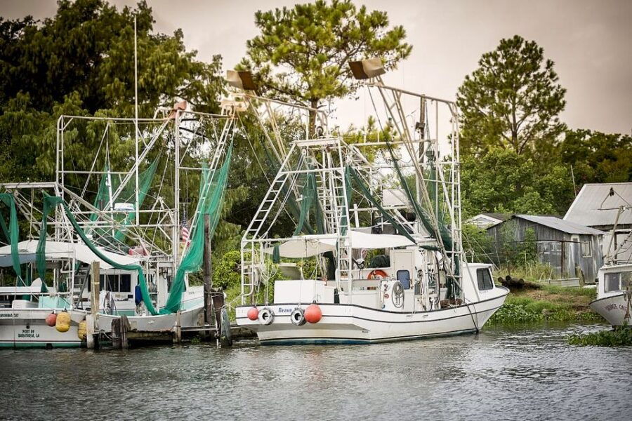 New Orleans Airboat Adventure Tour - Good To Know