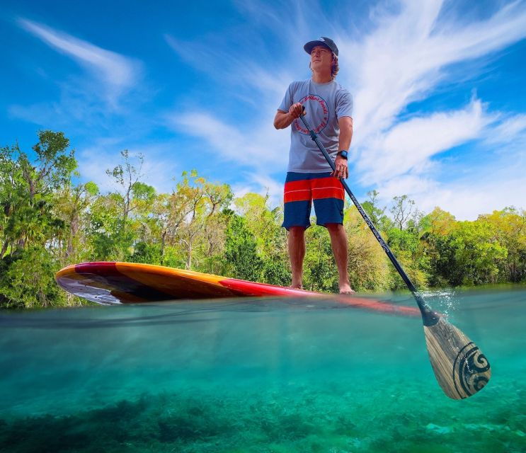 New Smyrna: Half-Day Guided SUP or Kayak Waterways Tour