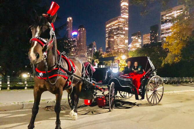 New York Central Park Late-Night Private Horse & Carriage Ride (Feb ) - Good To Know