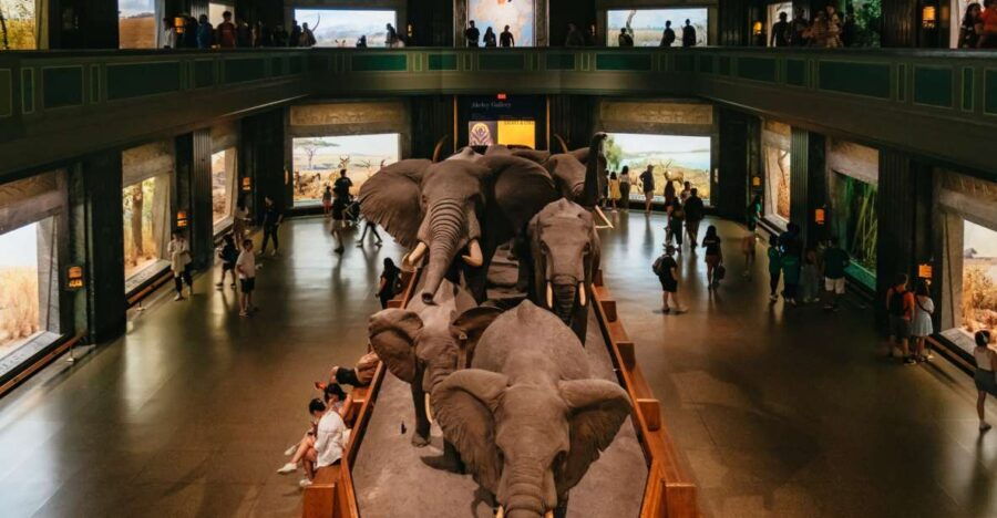 New York City: American Museum of Natural History Ticket - Good To Know