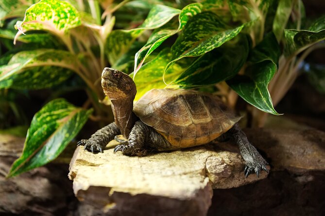 New York City Highlights Private Walking Tour - Good To Know