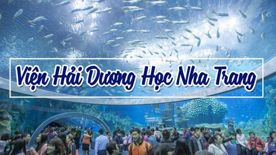 Nha Trang: Top Sight Must Visit City Tour