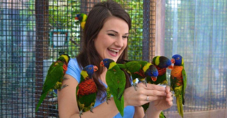 Niagara Falls, Canada: Bird Kingdom Entry Ticket - Good To Know