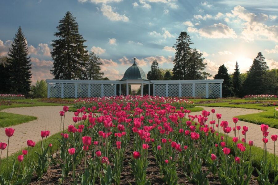 9 Best Walking Tours In Niagara Falls Ontario