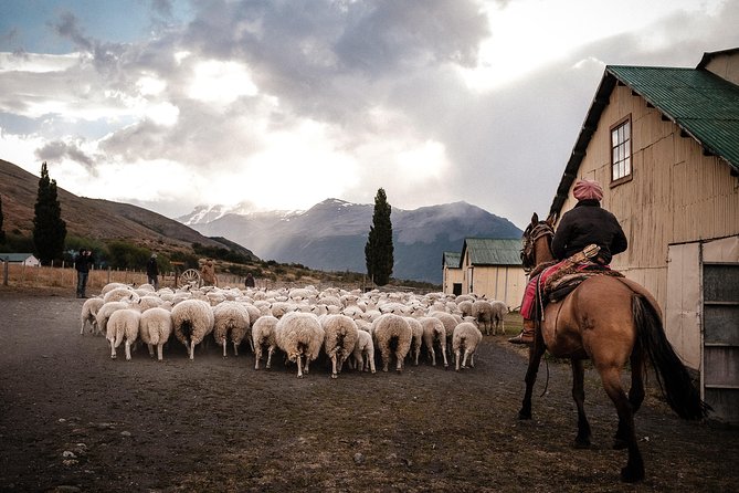 Nibepo Aike Ranch Day and Horseback Riding From El Calafate - Good To Know
