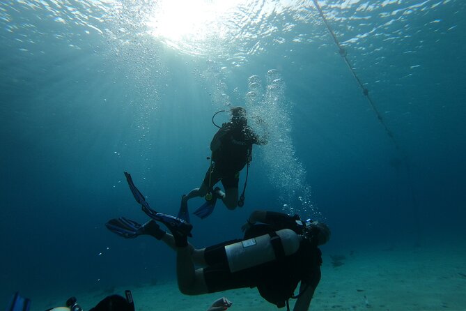 Night Diving At Caribbean Sea