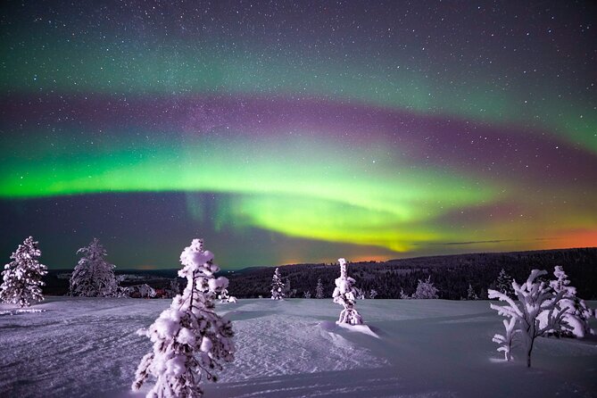 Night Snowshoeing Adventure Under the Northern Lights - Good To Know